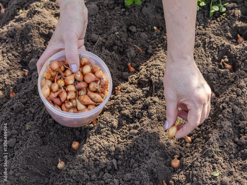 Agriculture maîtrisée et locale en Beauce